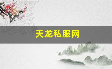 天龙私服网 (13)