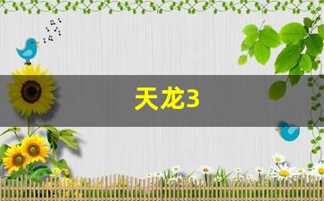 天龙3(天龙3800功放) (2)