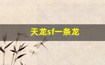 天龙sf一条龙(新天龙八部一条龙副本攻略)