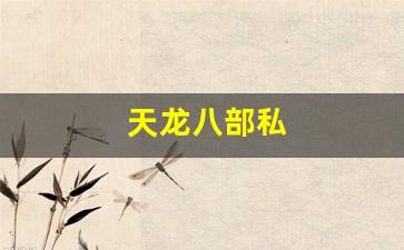 天龙八部私(新天龙八部官网) (2)
