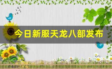 新天龙八部私服：今日新服天龙八部发布网(天龙八部新服公告) (3)