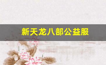龙八部最新发布网：新天龙八部公益服(天龙八部公益服开服表) (4)