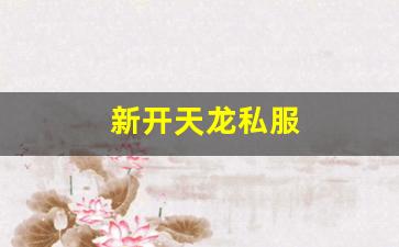新开天龙私服 (11)