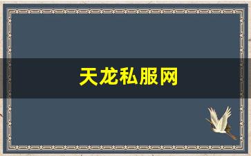 新开天龙八部sf：天龙私服网 (3)