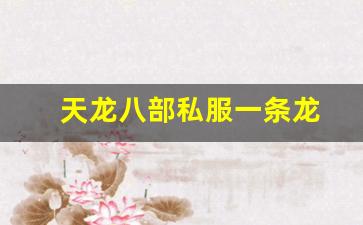 天龙八部私服一条龙(天龙八部sf架设一条龙) (3)