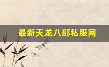 天龙八部公益服：最新天龙八部私服网 (6)