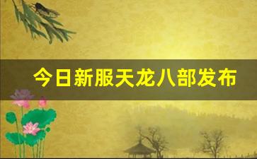 天龙八部3公益服发布网：今日新服天龙八部发布网(天龙八部官网公告开新区) (3)