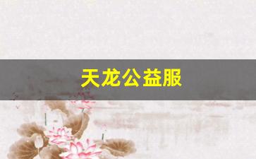 天龙公益服(天龙公益服发布2024年最新消息) (2)
