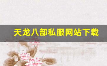 天龙八部私服网站下载 (5)