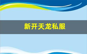 新开天龙八部sf：新开天龙私服 (12)