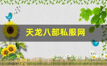 今日新开sf：天龙八部私服网 (12)