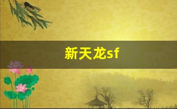 久游天龙：新天龙sf(新天龙实业股份有限公司) (4)