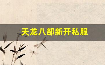 天龙八部新开私服(天龙八部发布网)