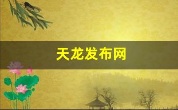 天龙发布网(123天龙八部发布网) (5)