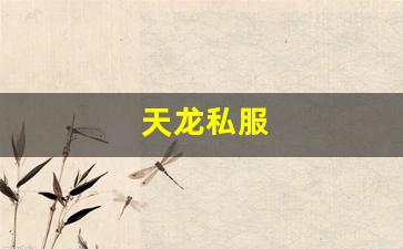 天龙八部sf发布网：天龙私服(天龙手游) (3)