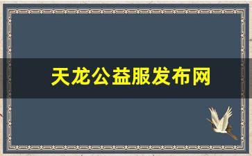 天龙公益服发布网(天龙八部公益)