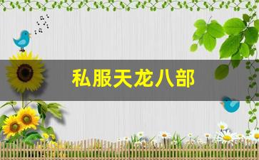 私服天龙八部 (6)
