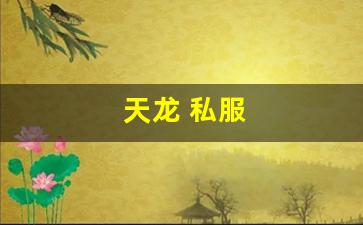 天龙 私服(天龙手游私sf下载) (15