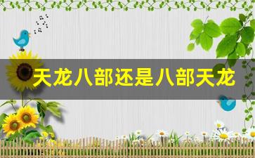 天龙八部sf发布网：天龙八部还是八部天龙