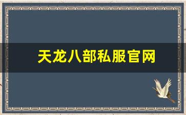 天龙八部变态服发布网：天龙八部私服官网 (12)