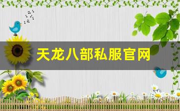 天龙八部私服官网 (13)